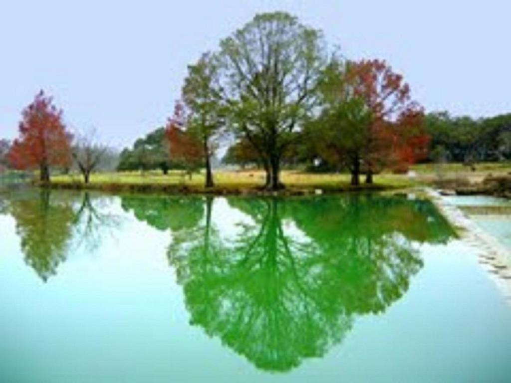 Blanco Riverside Cottages 외부 사진